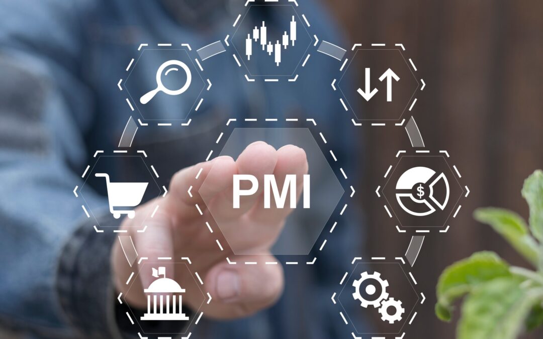 Quote dematerializzate nelle Srl PMI: verso un modello più fluido e “finanziario”